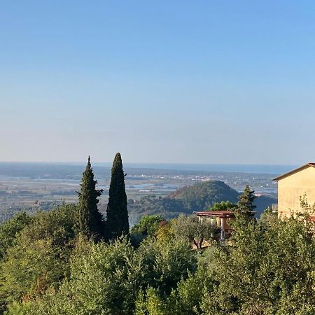 La Casina Delle Rondini Konuk evi Corsanico-Bargecchia Dış mekan fotoğraf
