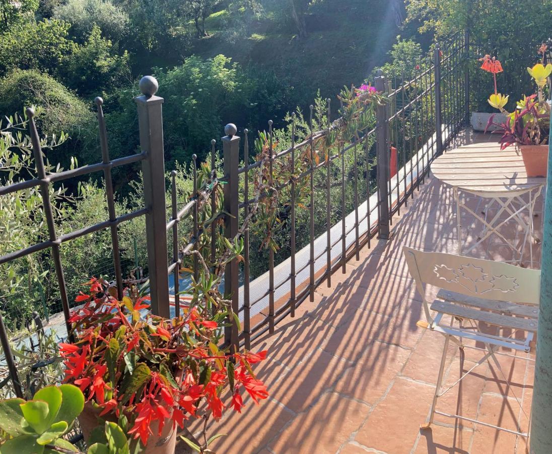 La Casina Delle Rondini Konuk evi Corsanico-Bargecchia Dış mekan fotoğraf