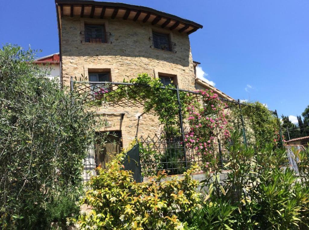 La Casina Delle Rondini Konuk evi Corsanico-Bargecchia Dış mekan fotoğraf