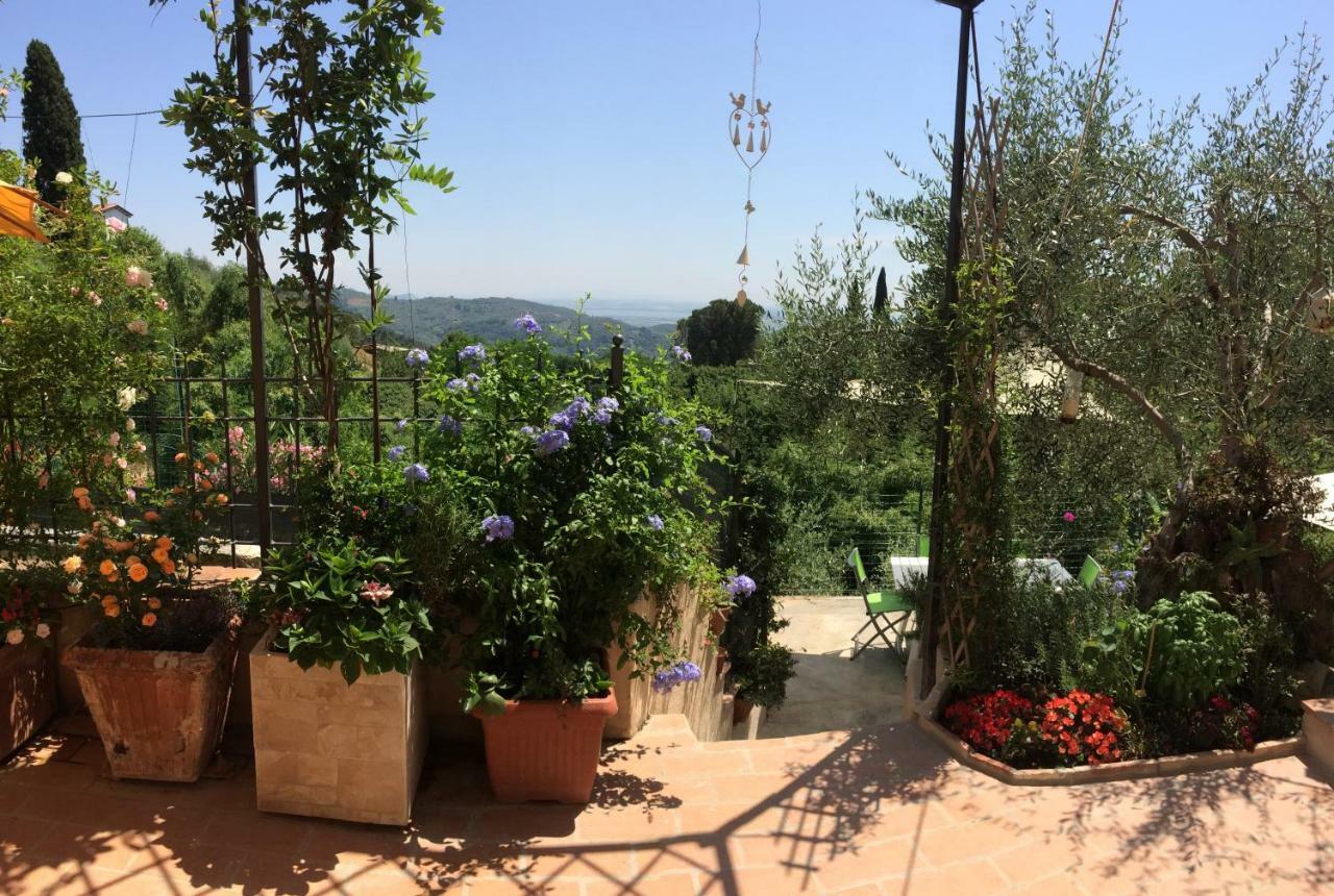 La Casina Delle Rondini Konuk evi Corsanico-Bargecchia Dış mekan fotoğraf