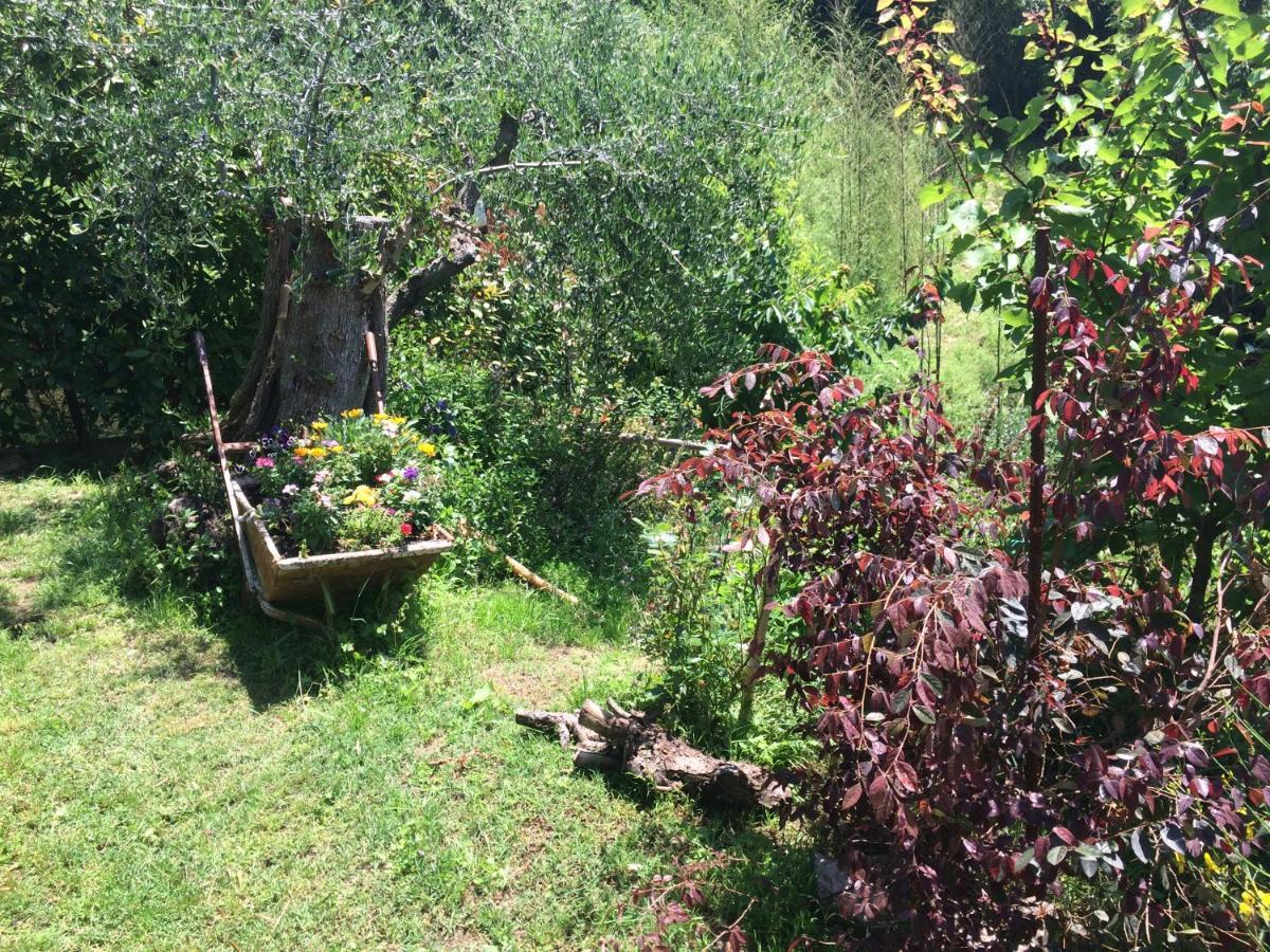 La Casina Delle Rondini Konuk evi Corsanico-Bargecchia Dış mekan fotoğraf